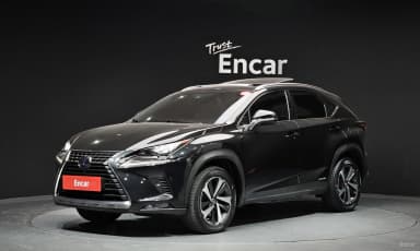 NX300h
