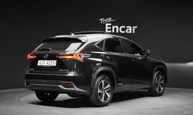 NX300h