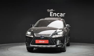 NX300h