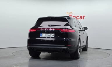 Cayenne (PO536)