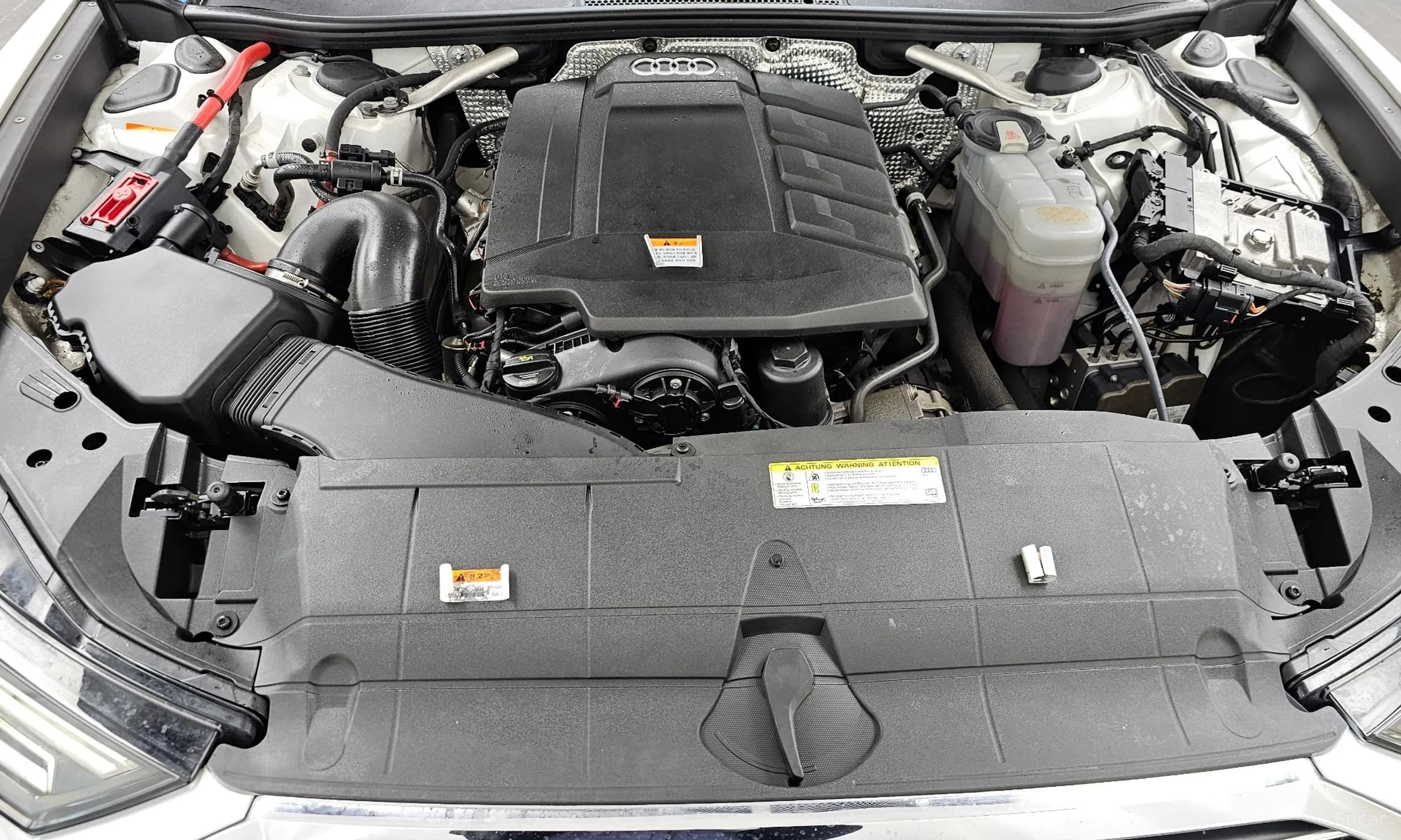 A6 (C8)