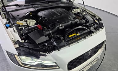 XF (x260)