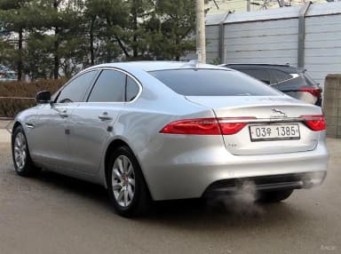 XF (x260)