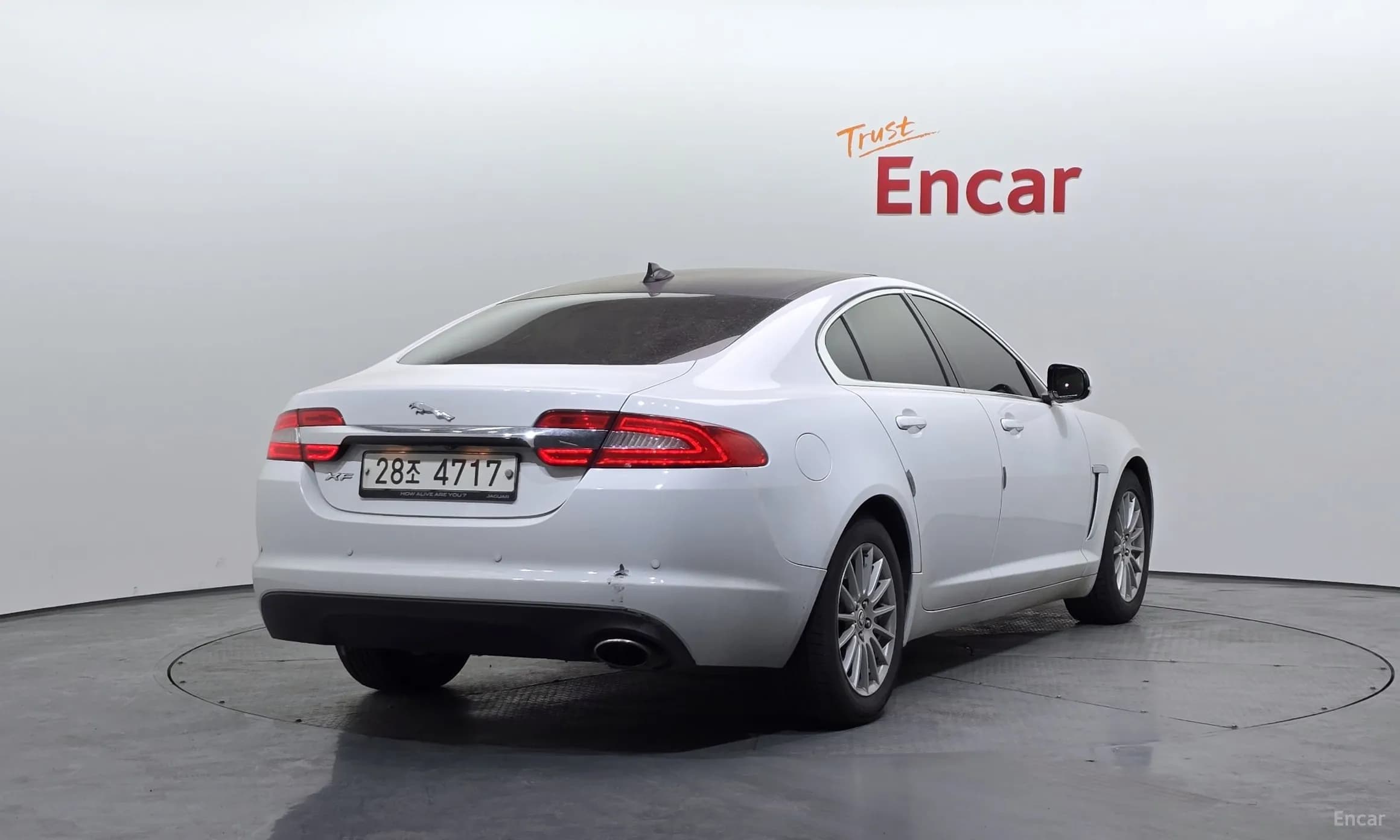 New XF