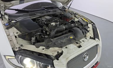 New XF
