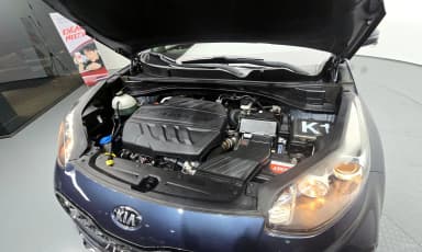 Sportage The Bold