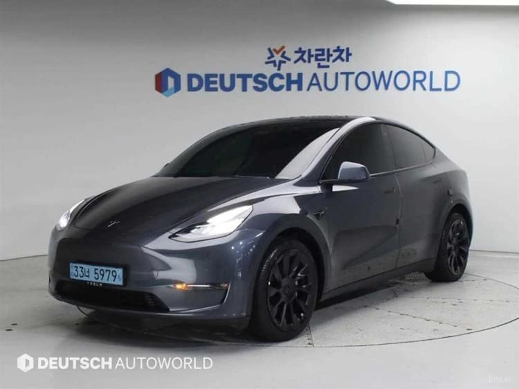 Model Y