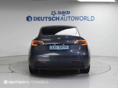 Model Y