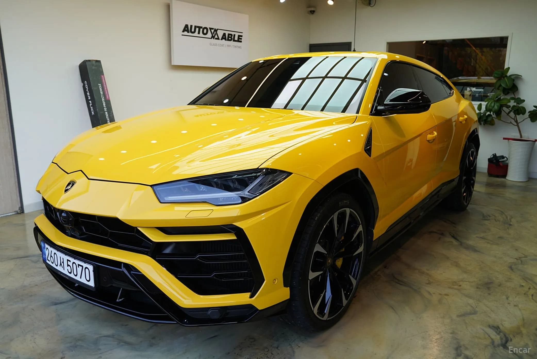 Urus