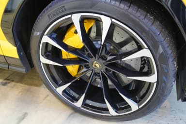 Urus