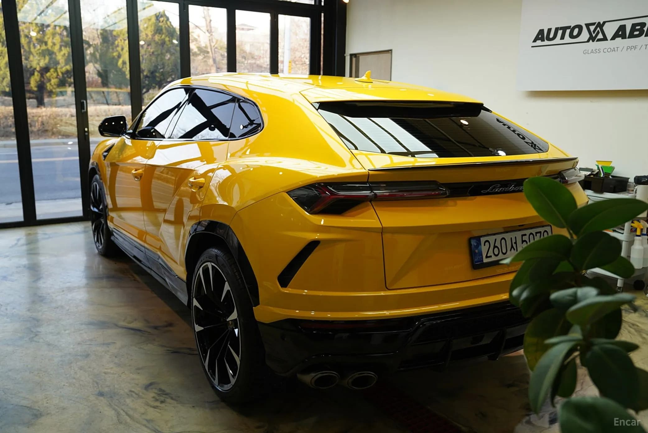 Urus