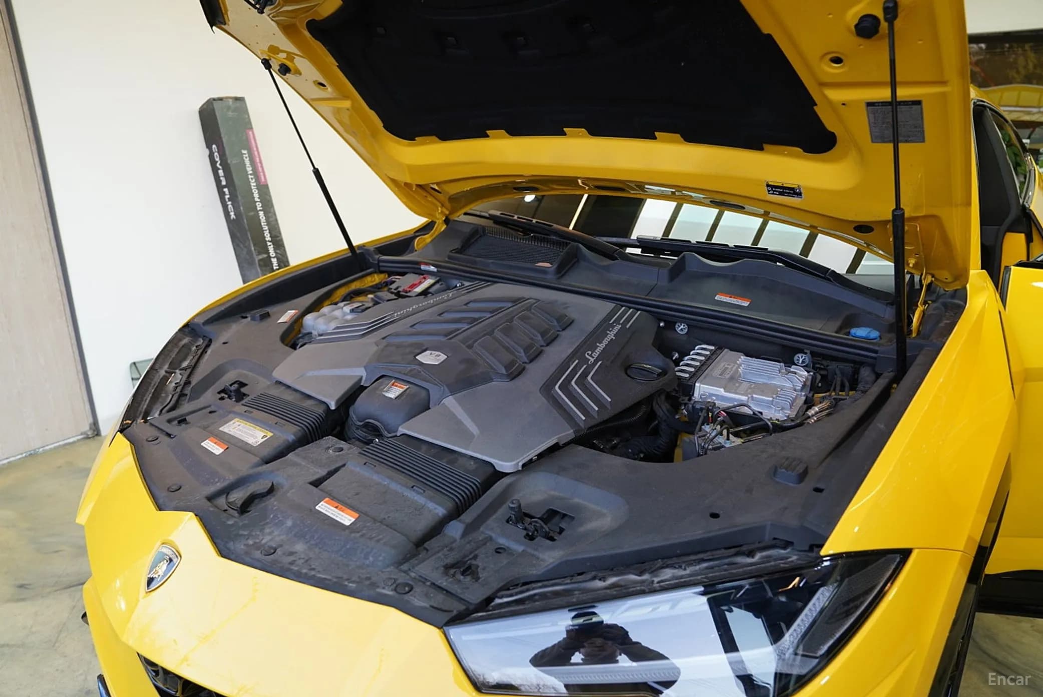 Urus