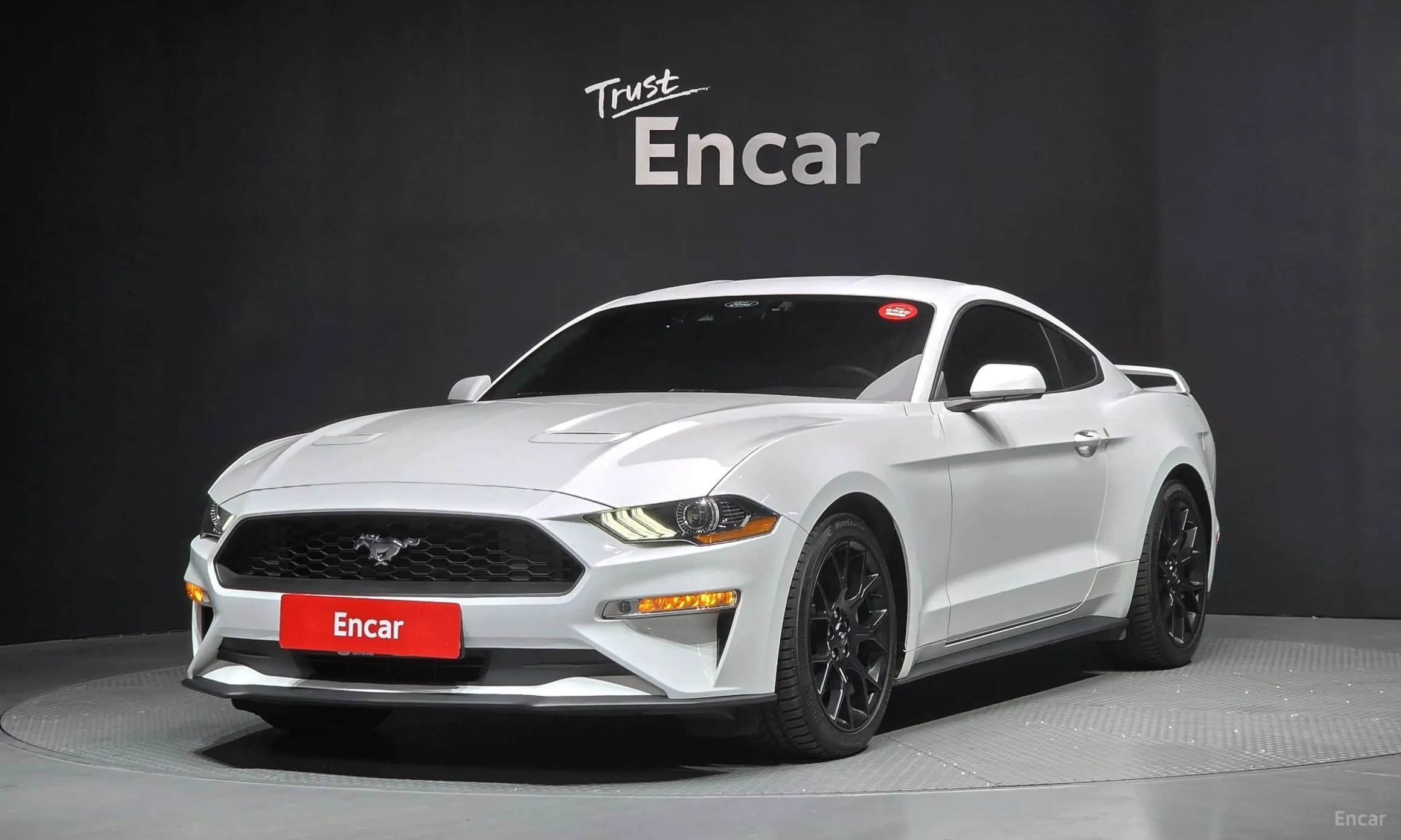 Mustang