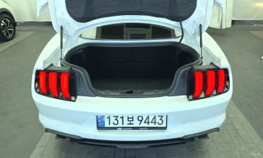 Mustang