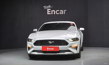 Mustang