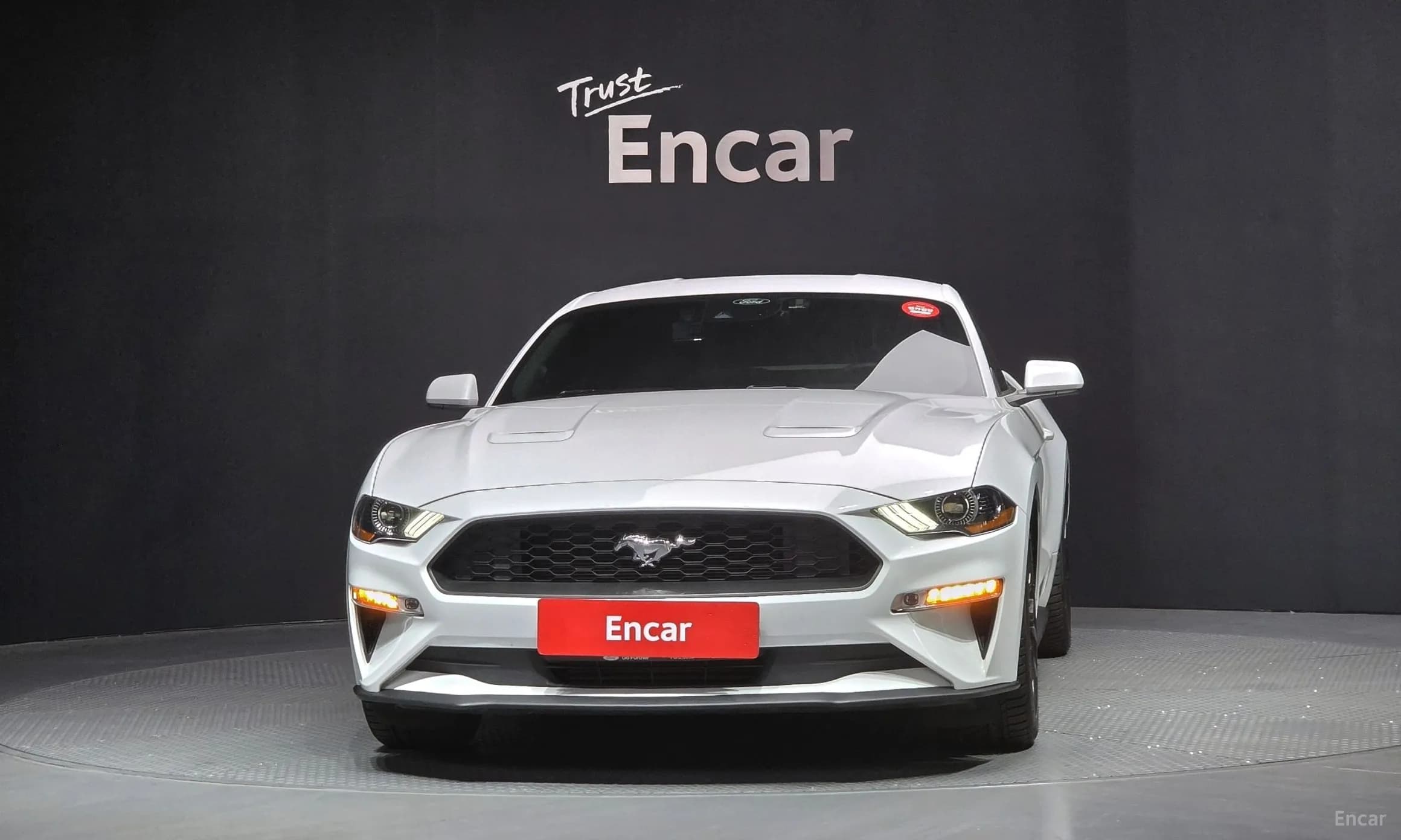 Mustang
