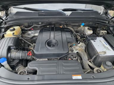 Rexton Sports Khan