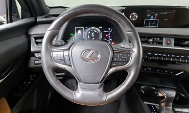UX250h