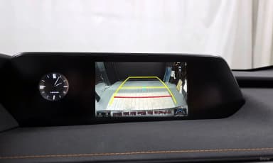 UX250h