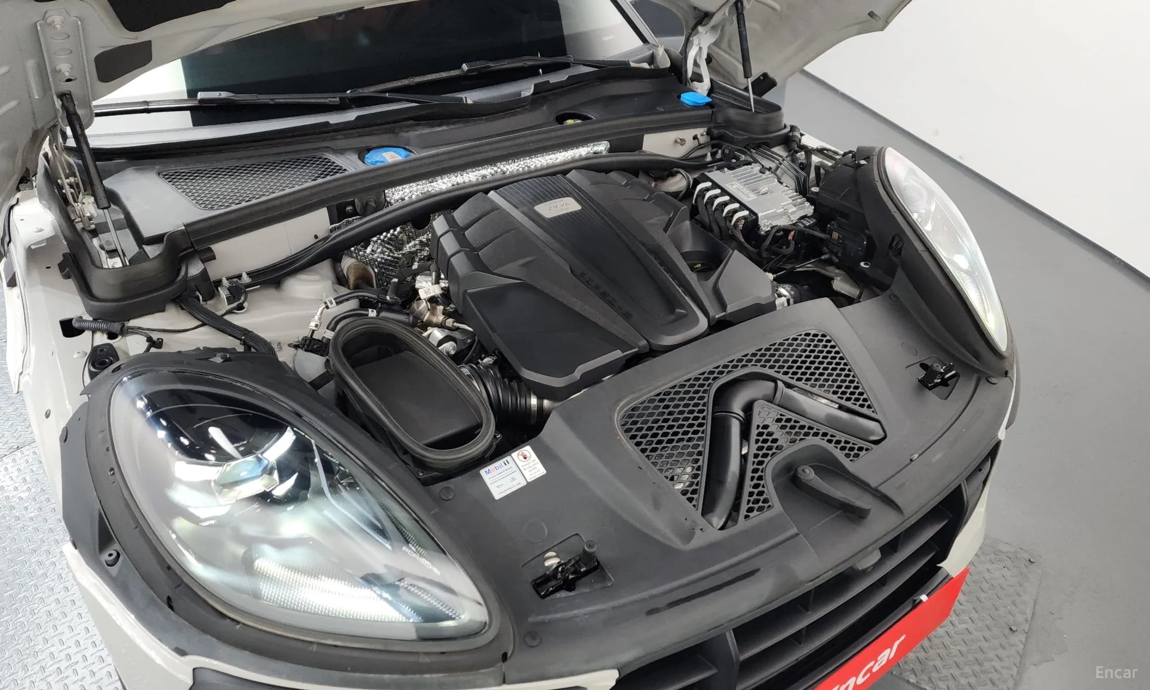 Macan