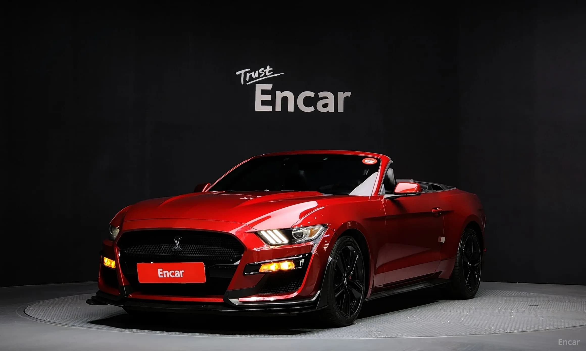 Mustang