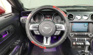 Mustang