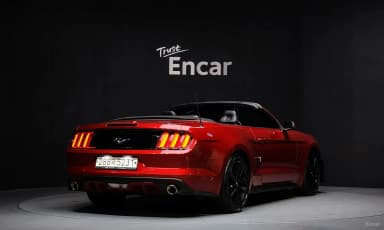 Mustang