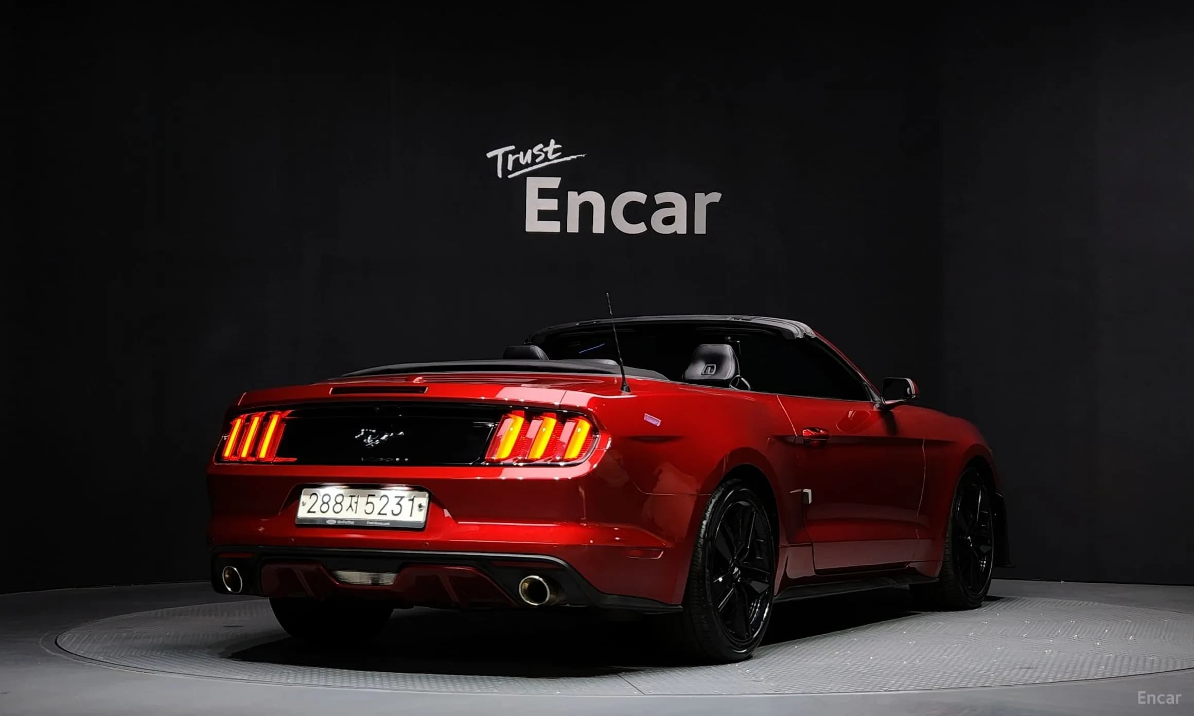 Mustang
