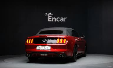 Mustang