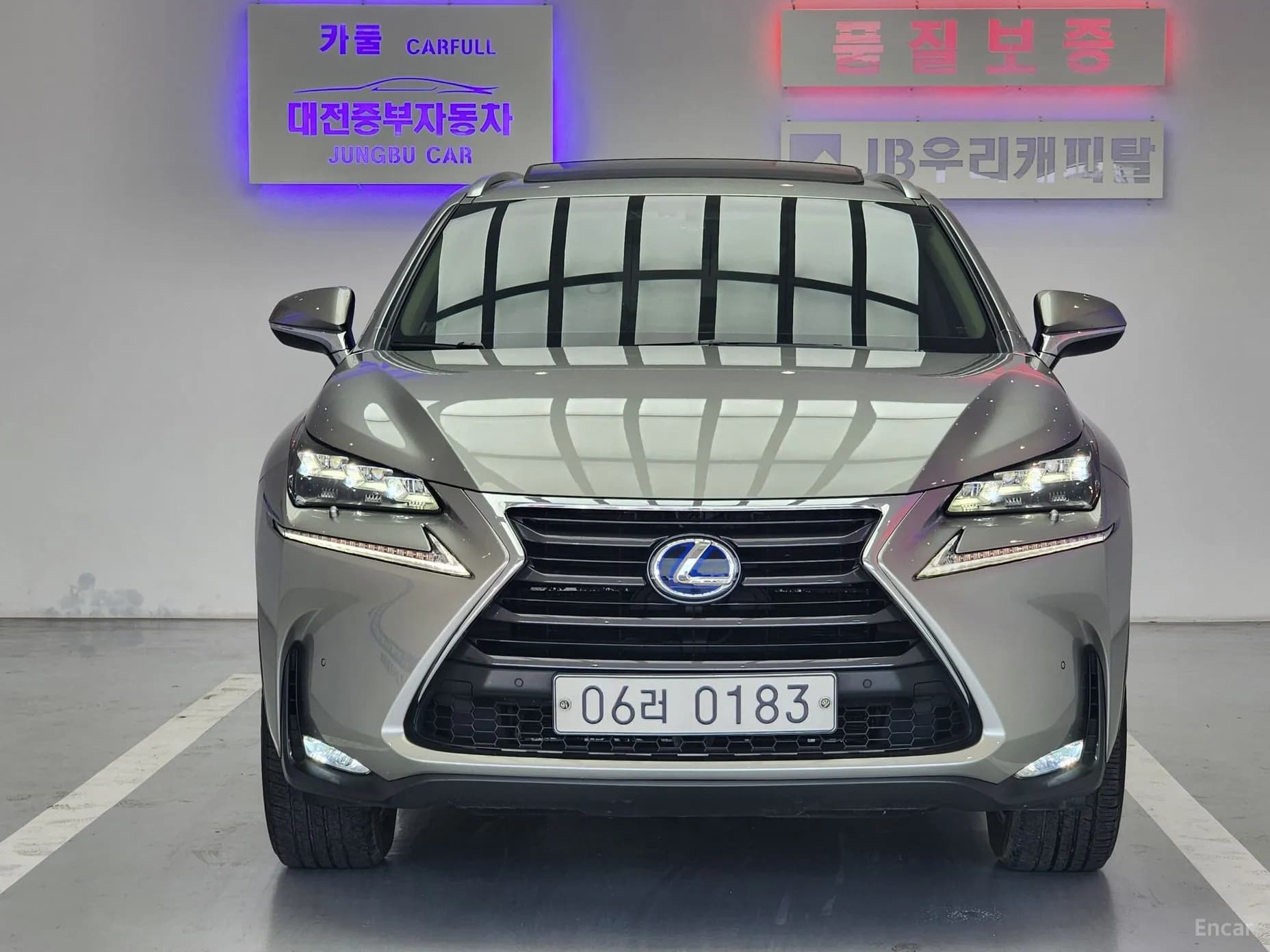NX300h