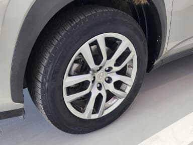 NX300h