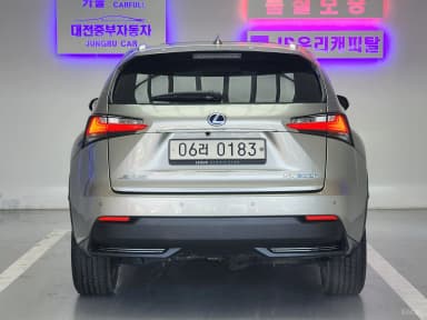 NX300h