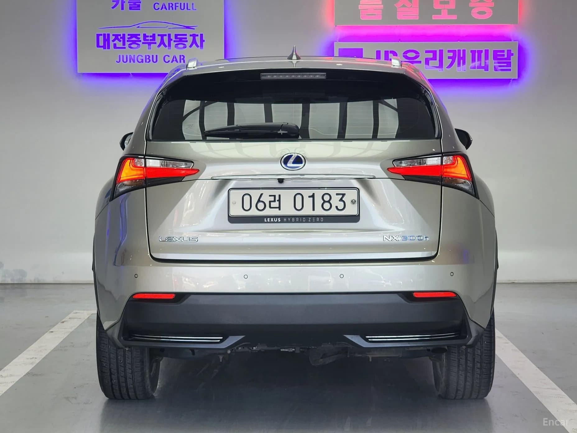 NX300h