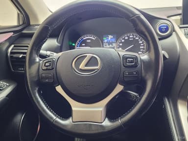 NX300h