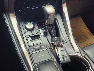 NX300h