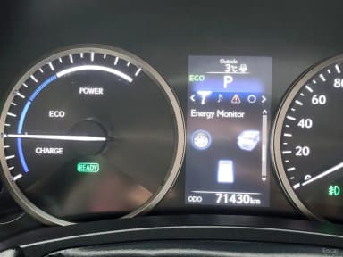 NX300h