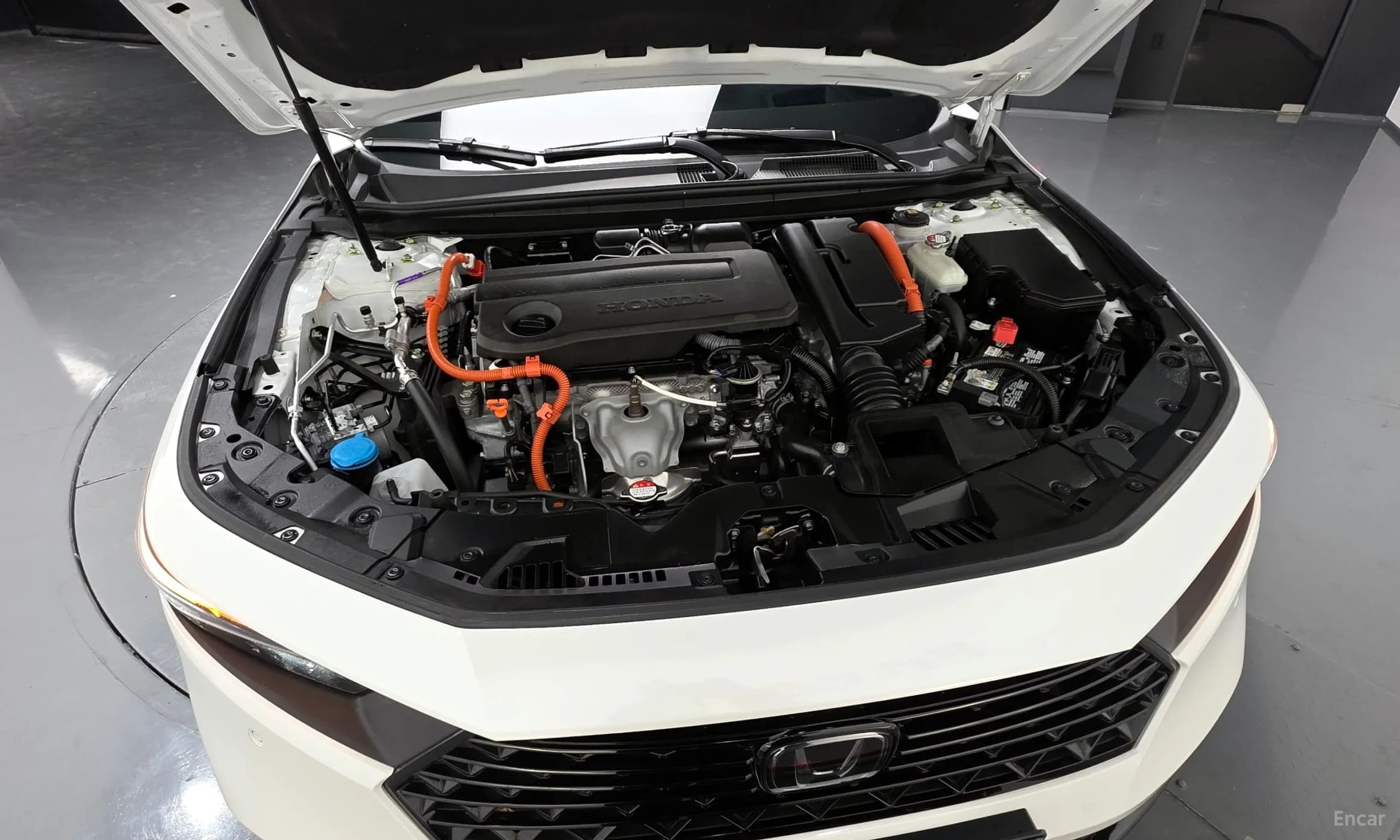 Accord 11th Generation