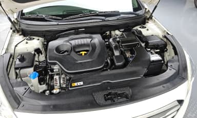 LF Sonata
