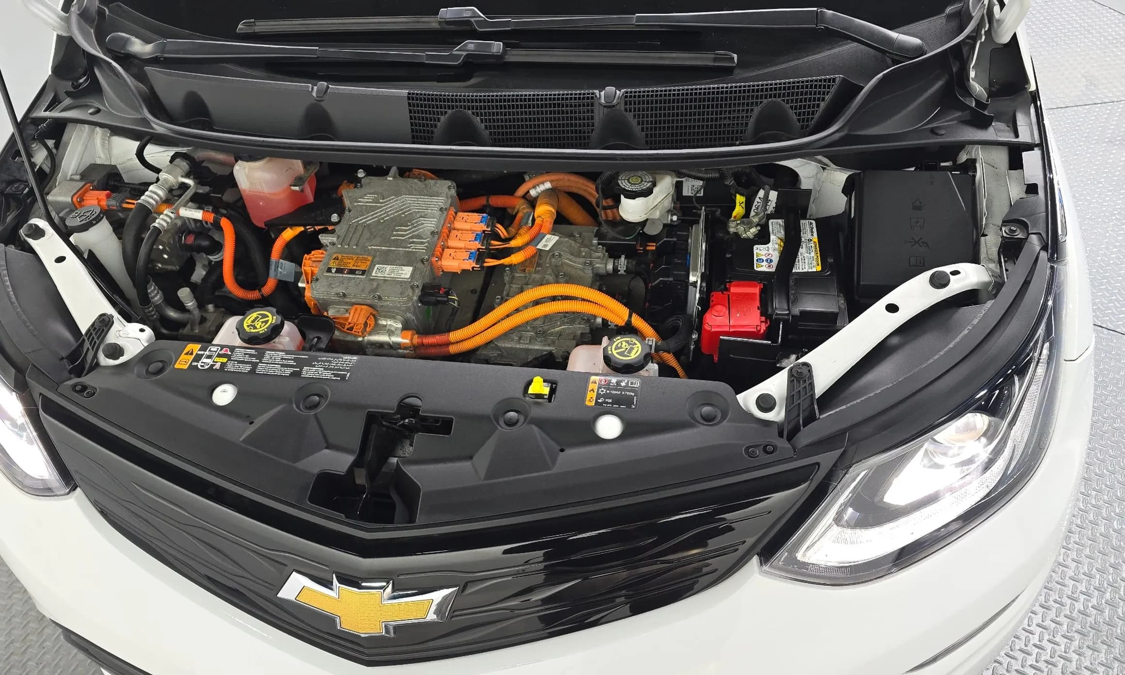 Bolt EV