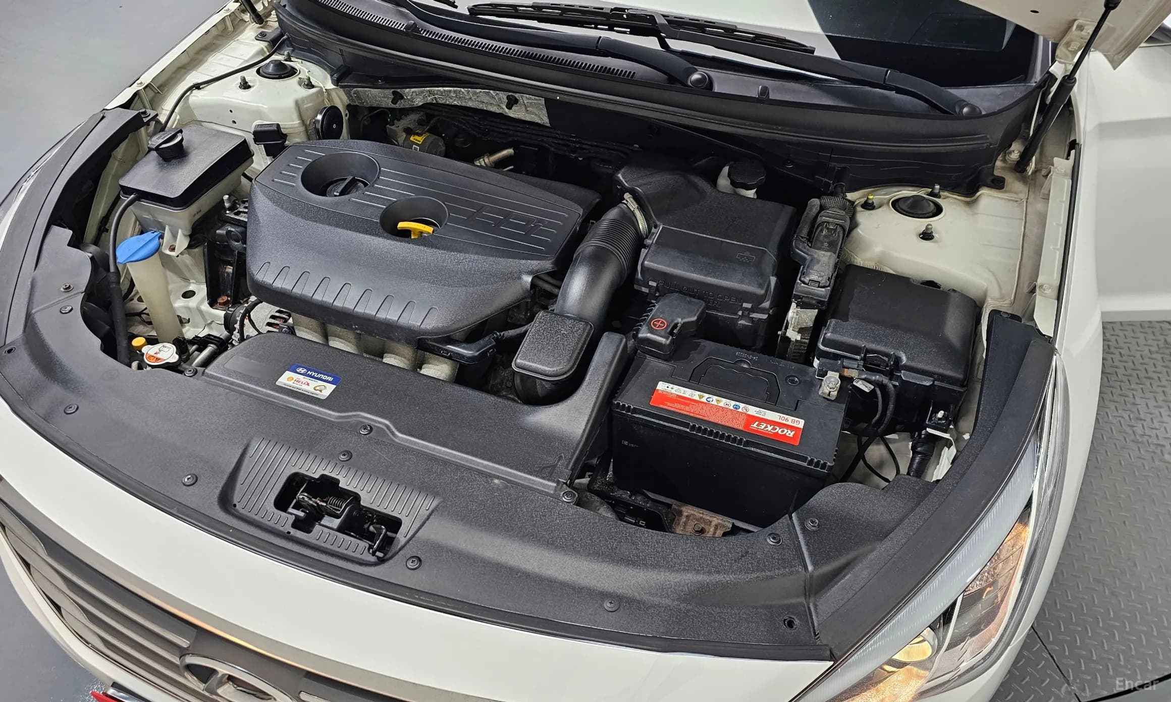 LF Sonata