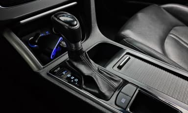LF Sonata