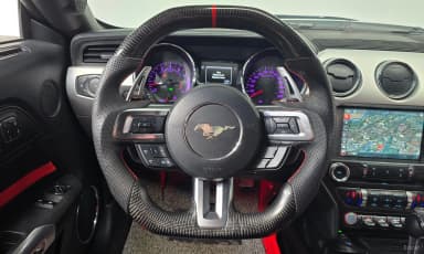 Mustang