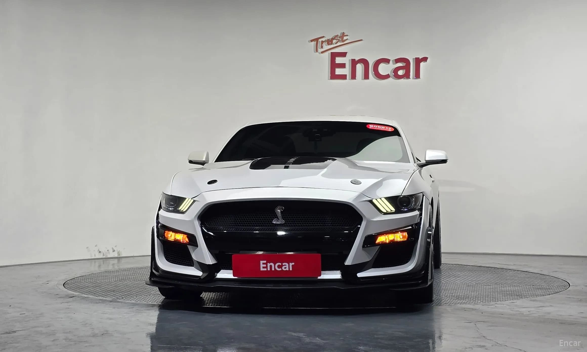 Mustang