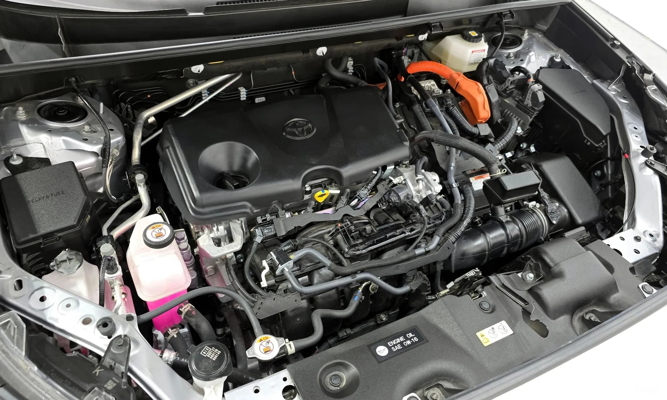 RAV4 5th Generation