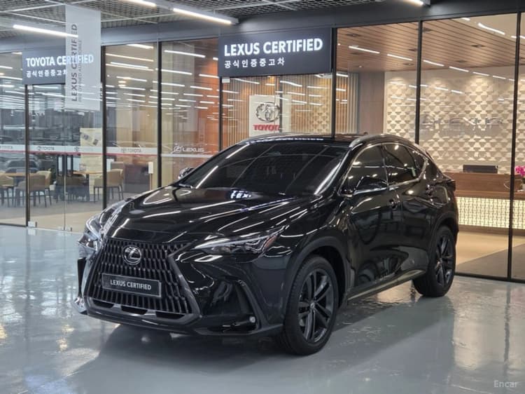 NX350h Gen 2