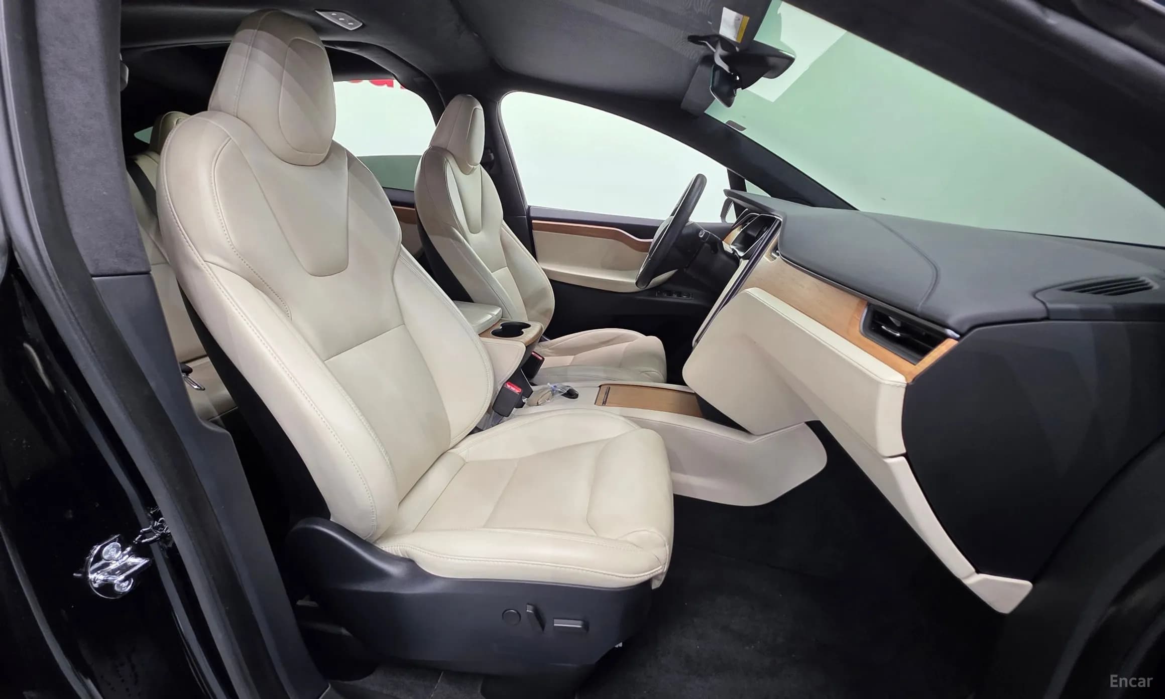 Model X