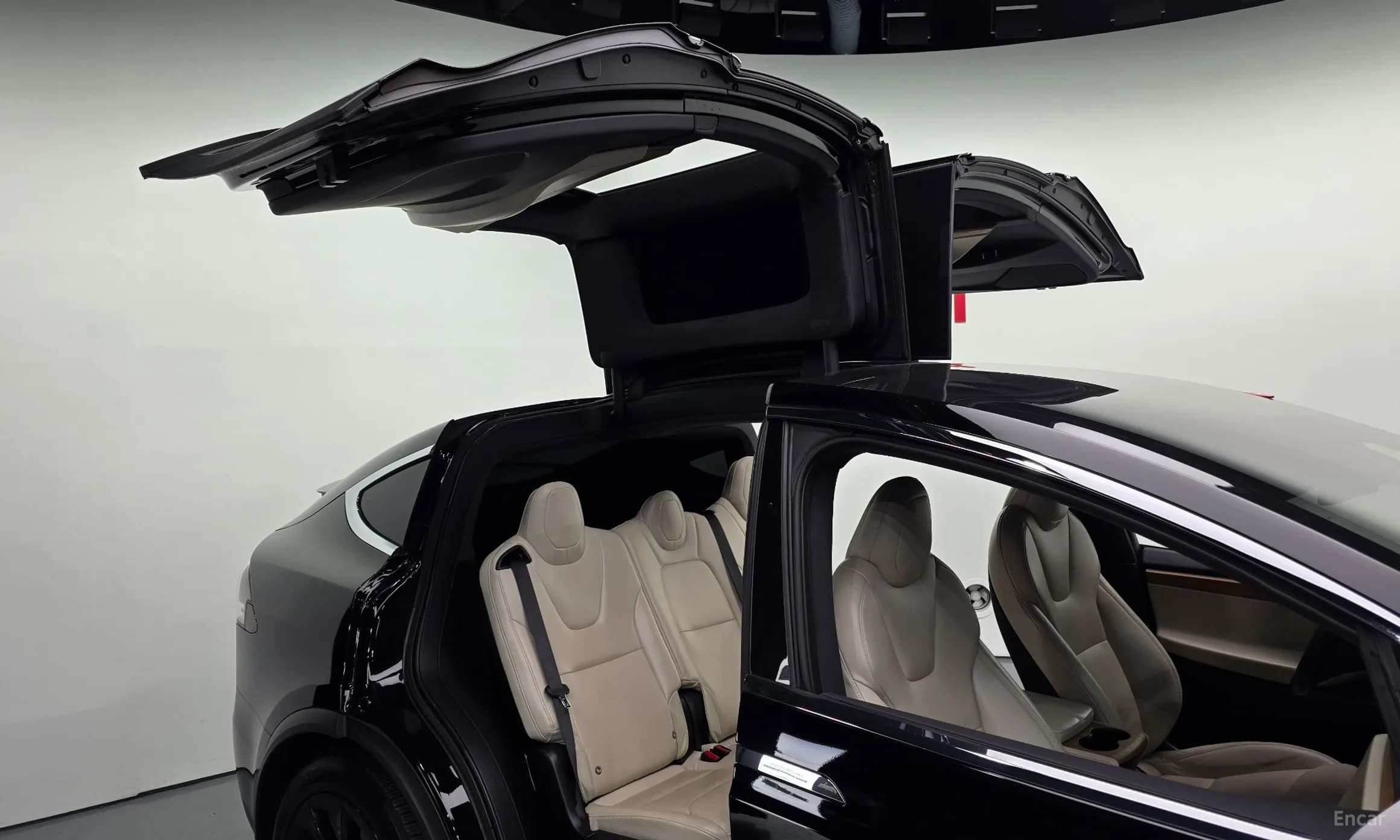 Model X