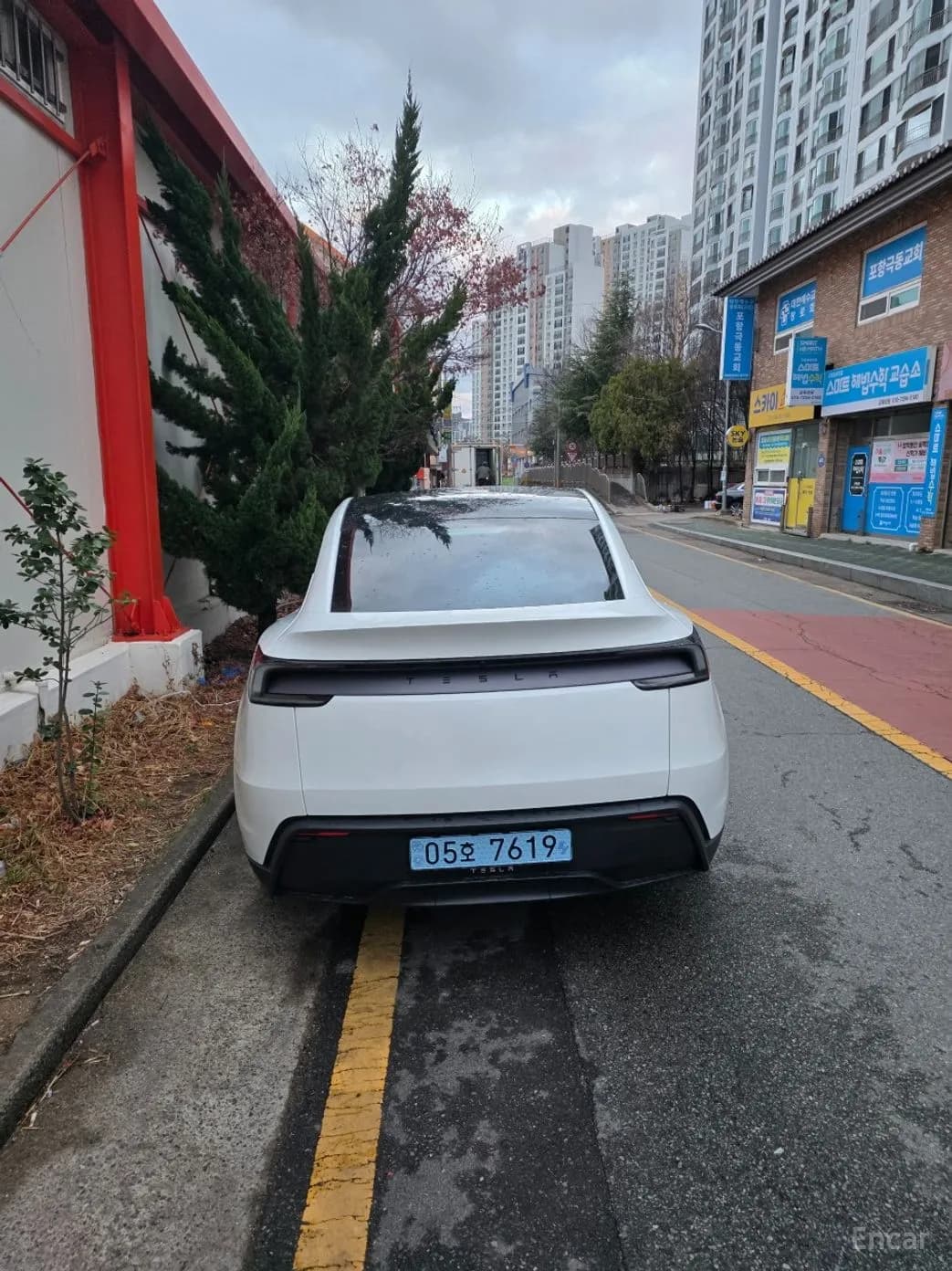 Model Y