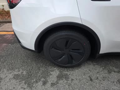 Model Y