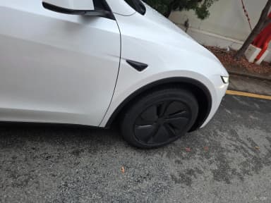 Model Y
